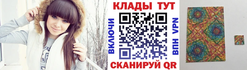 МЕФ Новосибирск