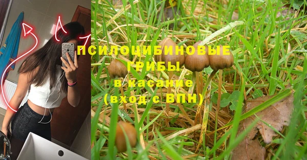 трава Новозыбков