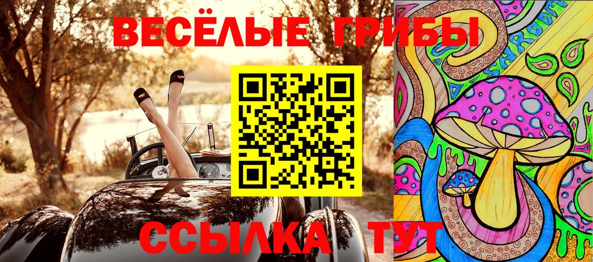 Псилоцибиновые грибы Psilocybe Новосибирск