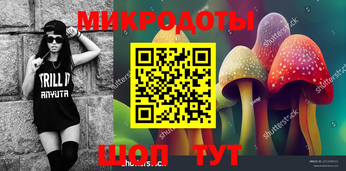 Новосибирск  Галлюциногенные грибы Magic Shrooms  наркотики  Вход с VPN 